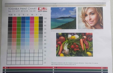 thay drum gat film máy photocopy Toshiba 3015AC